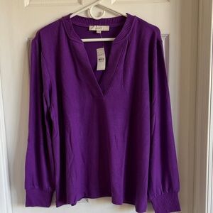 NWT LOFT V-Neck Long Sleeve Sweater